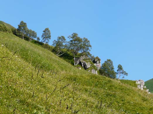 Franzoesische_Pyrenaeen_100