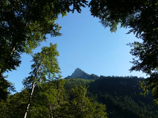 Franzoesische_Pyrenaeen_102