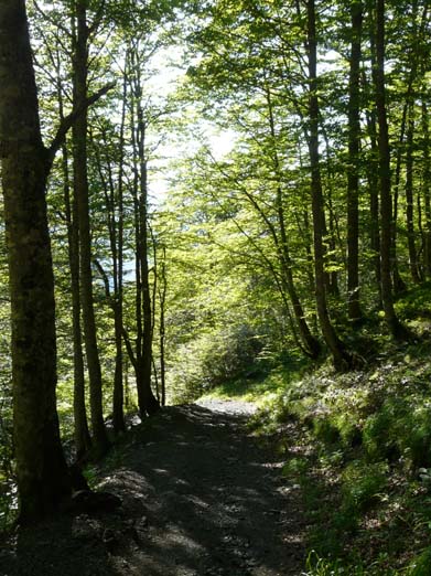 Franzoesische_Pyrenaeen_103