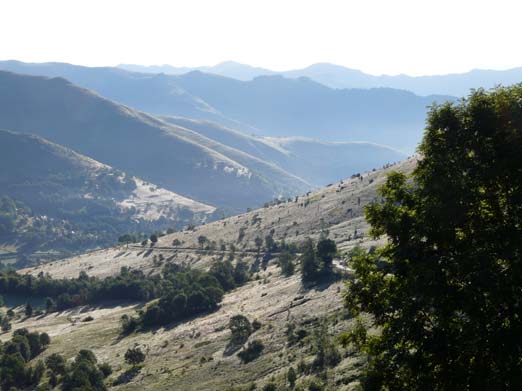 Franzoesische_Pyrenaeen_105