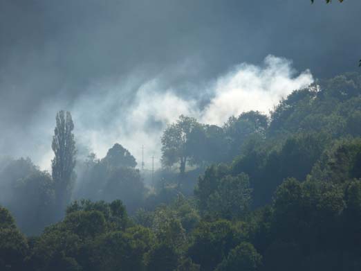 Franzoesische_Pyrenaeen_113