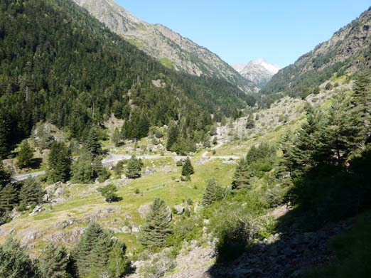 Franzoesische_Pyrenaeen_117