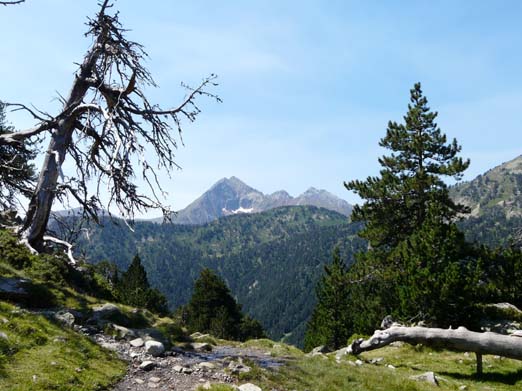 Franzoesische_Pyrenaeen_124