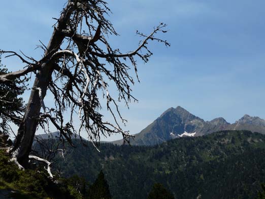 Franzoesische_Pyrenaeen_125