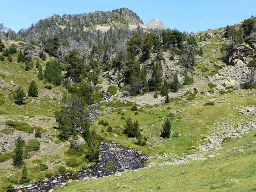 Franzoesische_Pyrenaeen_127