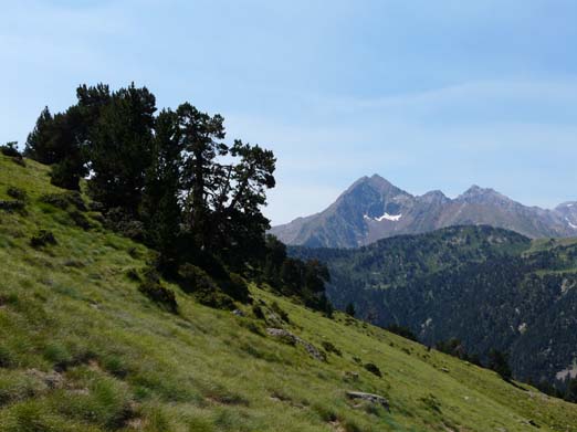 Franzoesische_Pyrenaeen_128