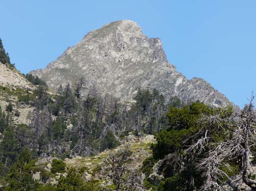 Franzoesische_Pyrenaeen_129