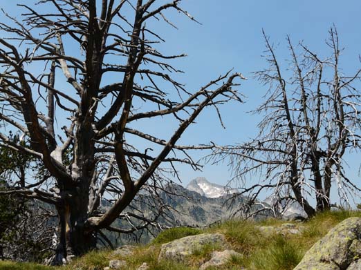 Franzoesische_Pyrenaeen_130