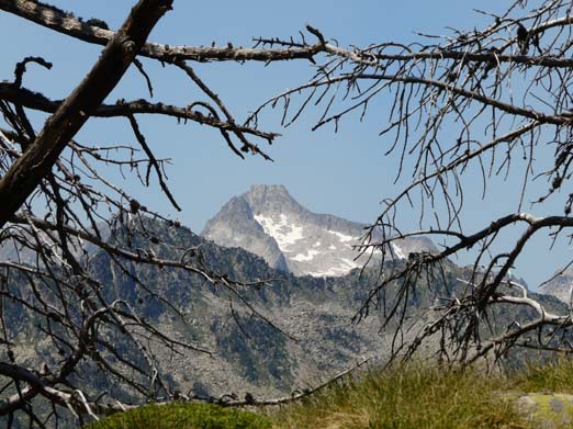 Franzoesische_Pyrenaeen_131