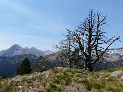 Franzoesische_Pyrenaeen_132