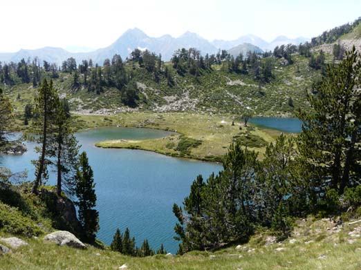 Franzoesische_Pyrenaeen_185