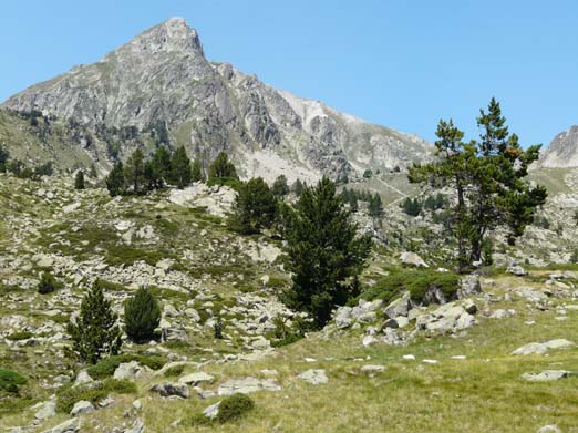 Franzoesische_Pyrenaeen_187