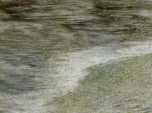 Franzoesische_Pyrenaeen_198