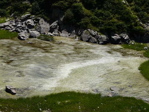 Franzoesische_Pyrenaeen_199