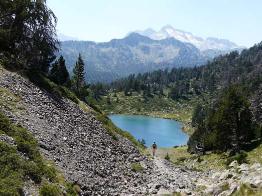 Franzoesische_Pyrenaeen_200