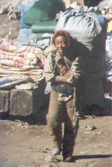 tibeter2