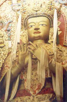 NPBUDDH1