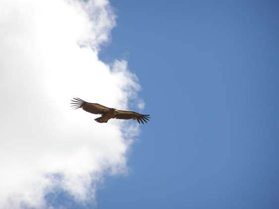 Nepal_Tibet_07_P5231639