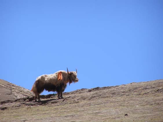Nepal_Tibet_07_P5231644