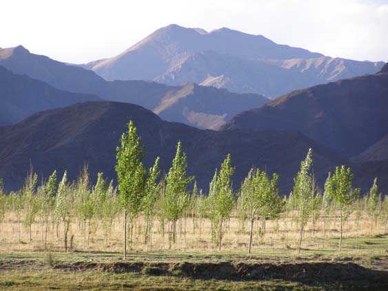 Nepal_Tibet_07_P5231721
