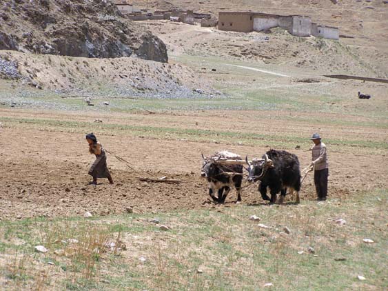 Nepal_Tibet_07_P5241757