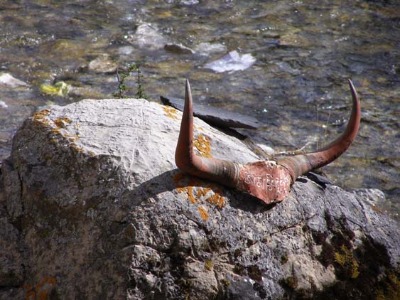 Nepal_Tibet_07_P5241789