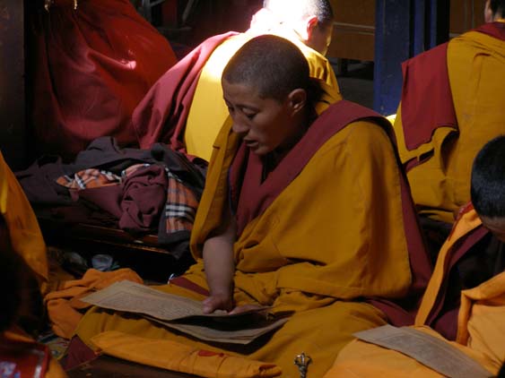 Nepal_Tibet_07_P5241808