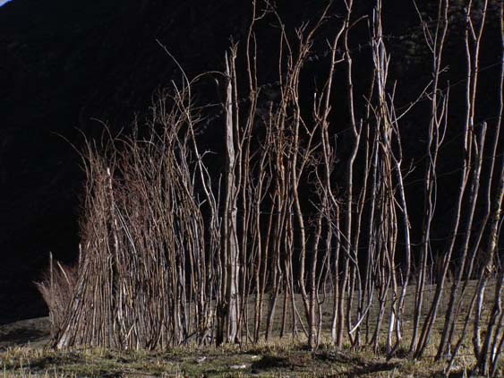 Nepal_Tibet_07_P5241835