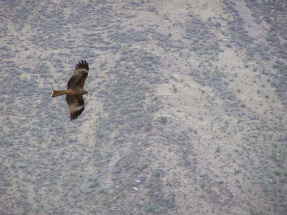 Nepal_Tibet_07_P5251848