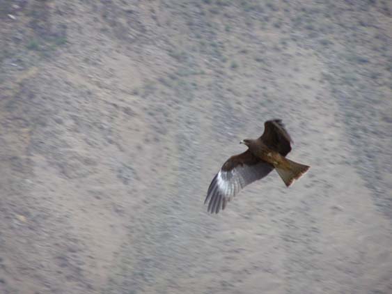 Nepal_Tibet_07_P5251849