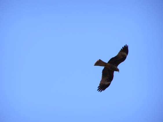 Nepal_Tibet_07_P5251850
