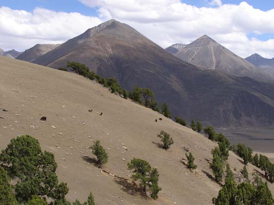 Nepal_Tibet_07_P5251858
