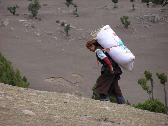 Nepal_Tibet_07_P5251860