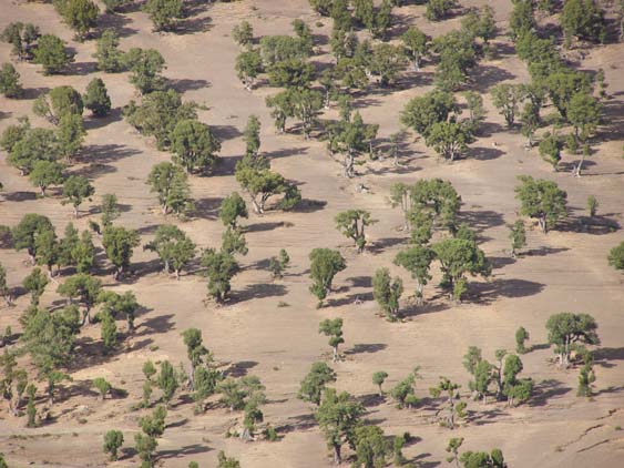 Nepal_Tibet_07_P5251872