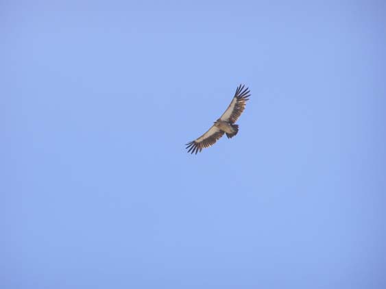 Nepal_Tibet_07_P5292081