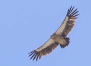 Nepal_Tibet_07_P5292081a