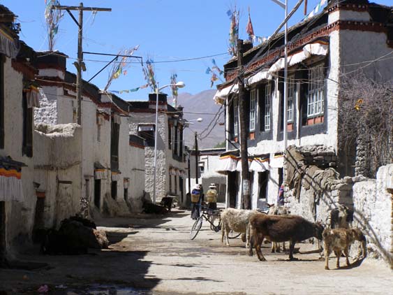 Nepal_Tibet_07_P5292120