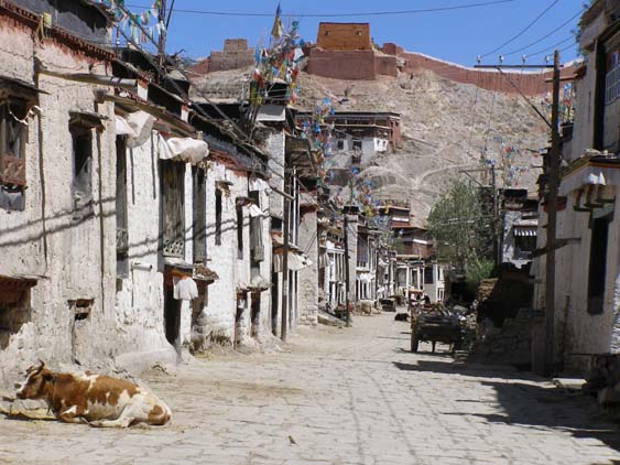 Nepal_Tibet_07_P5292126
