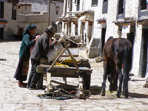 Nepal_Tibet_07_P5292128