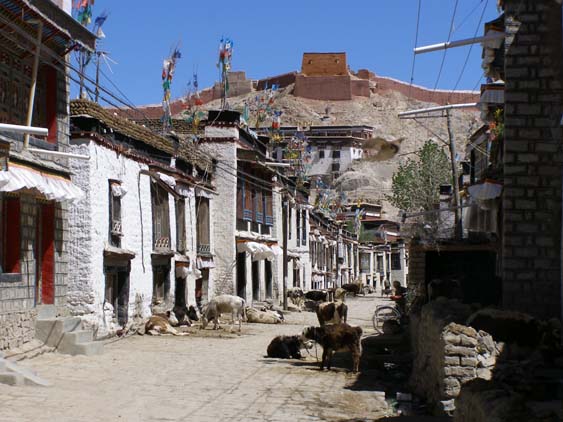 Nepal_Tibet_07_P5292133