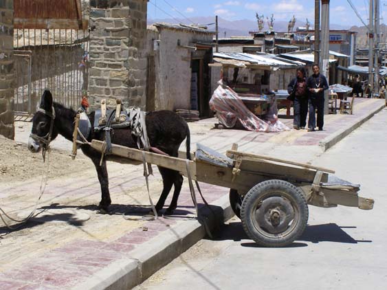 Nepal_Tibet_07_P5302250