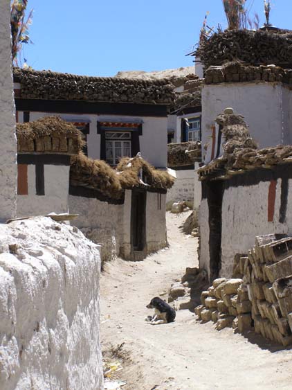 Nepal_Tibet_07_P6012387
