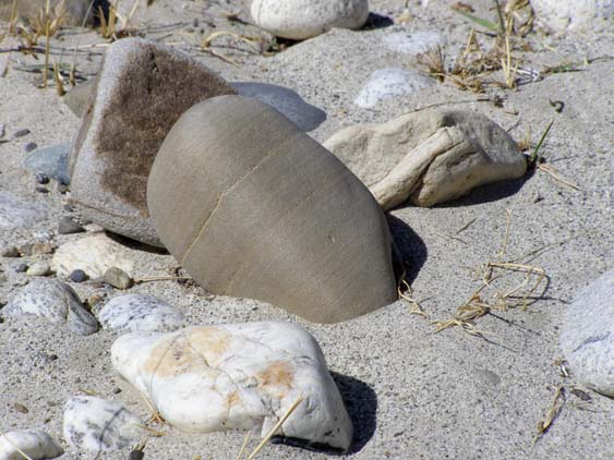 Nepal_Tibet_07_P6022522