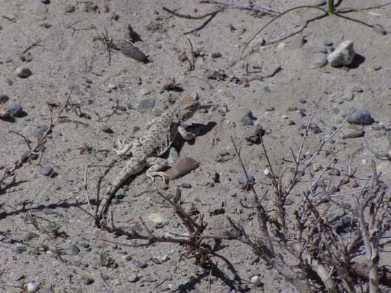 Nepal_Tibet_07_P6022530