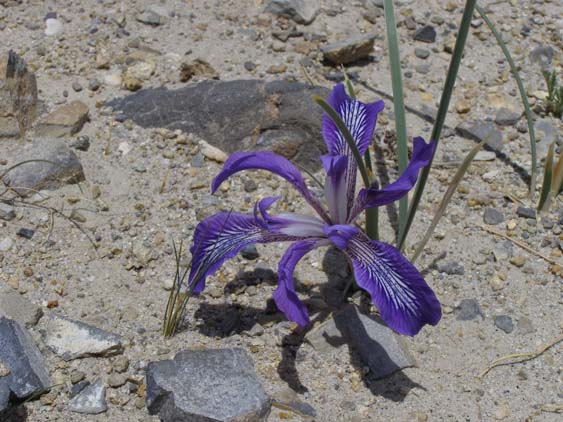 Nepal_Tibet_07_P6022610