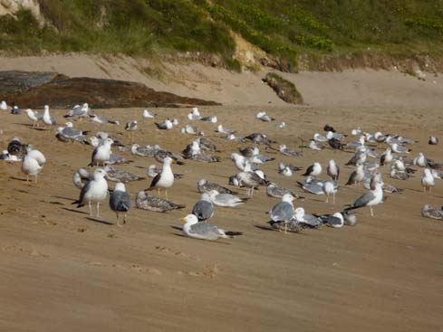 Asturien_Galizien_369