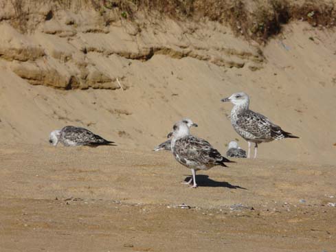 Asturien_Galizien_372