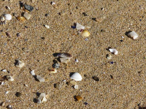 Asturien_Galizien_411