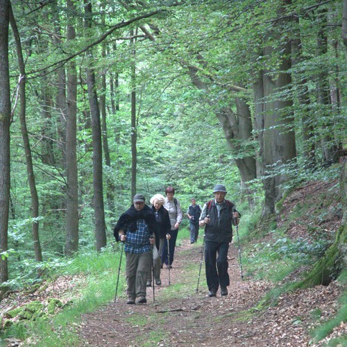 Wandern im Mittelgebirge