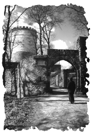 Burg Plesse, Bovenden